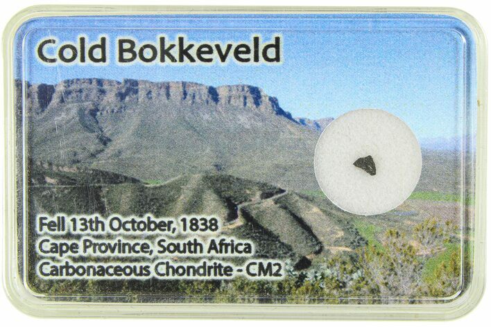 Carbonaceous Chondrite Fragment - Cold Bokkeveld #285957